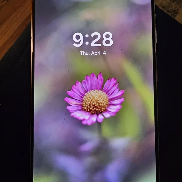 Samsung Galaxy 21plus - Picture 4 of 5